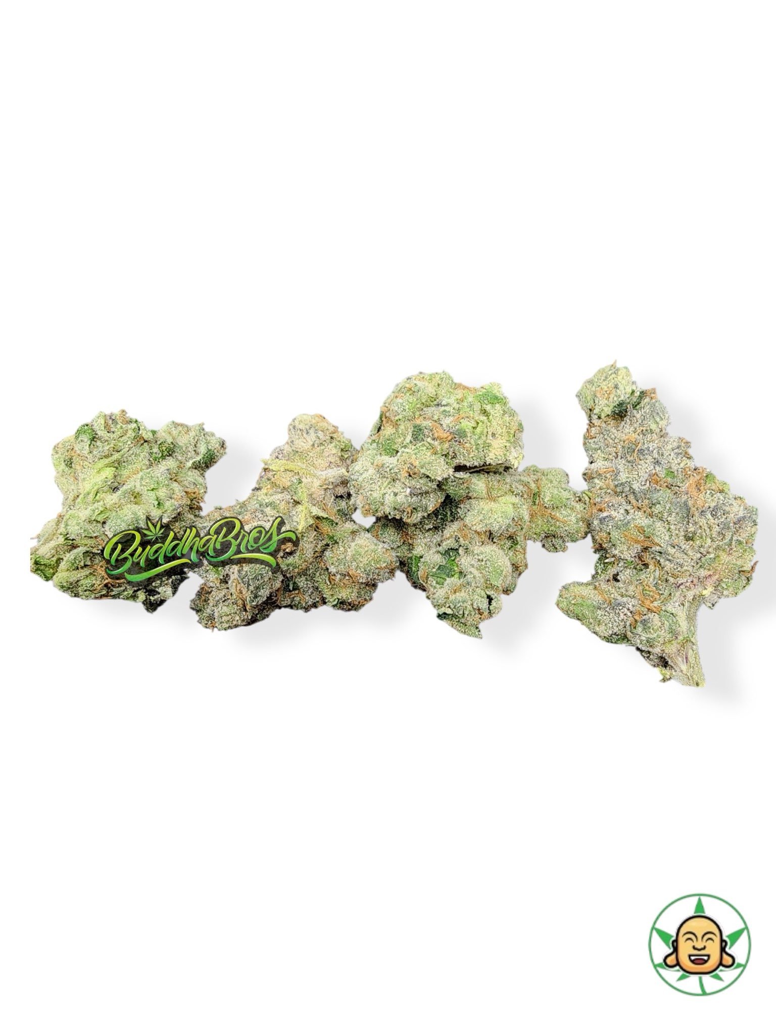 Photoroom_20250723_144401 TOG X Gumbo - Image 1