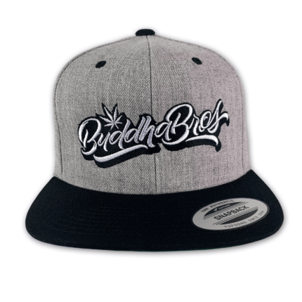 BB Snapback - Grey