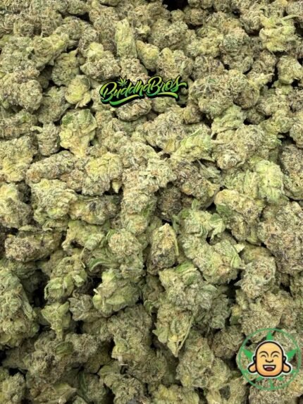 Blueberry Gelato Mediums