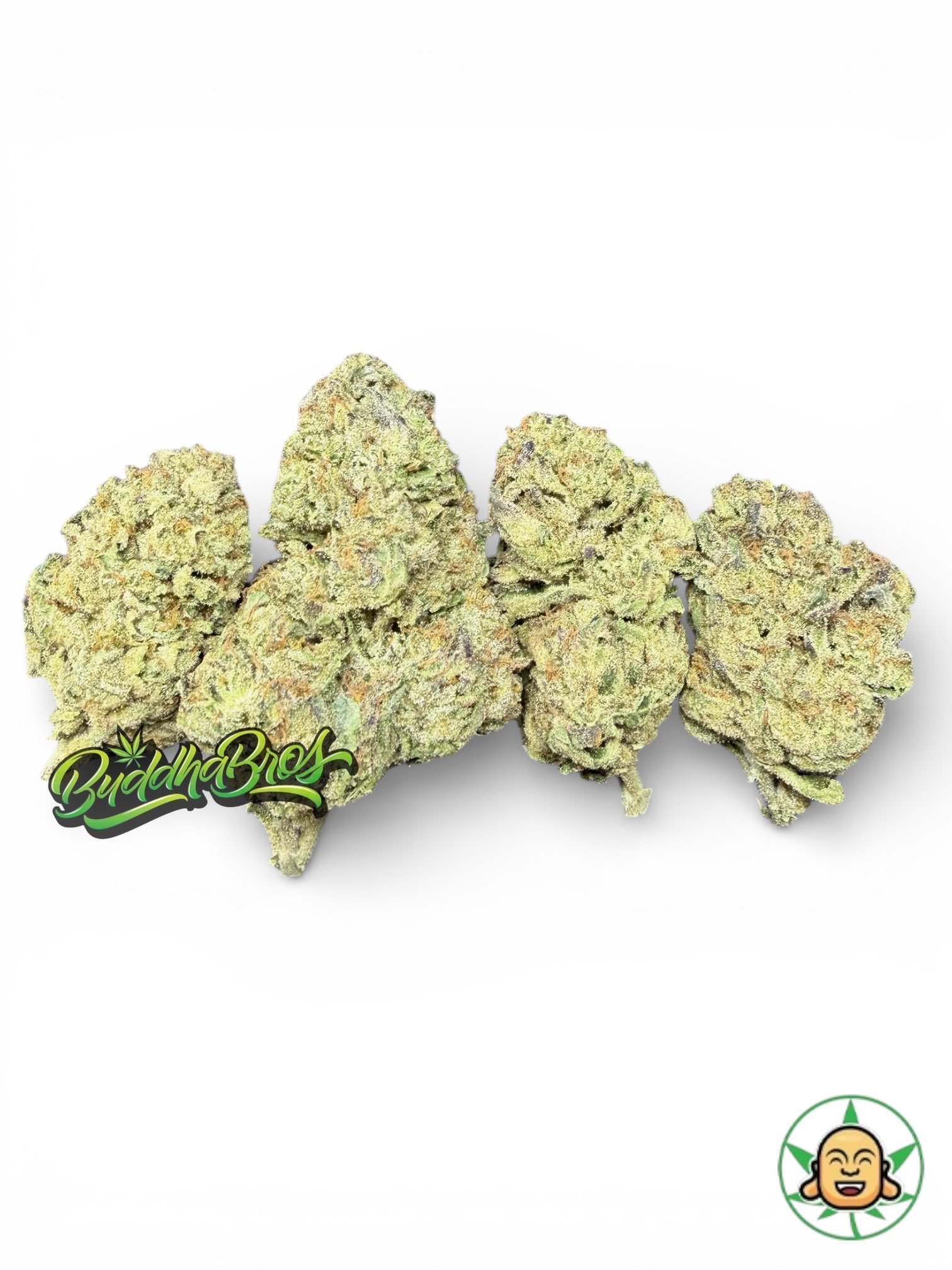 Cheetah Piss Cheetah Piss