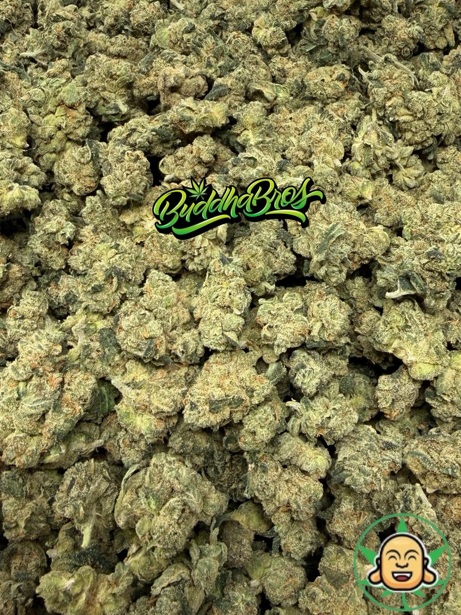 Chem 95 Smalls Chem 95 Smalls