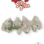 Cherry Yan Yan by BuddhaBrosLA