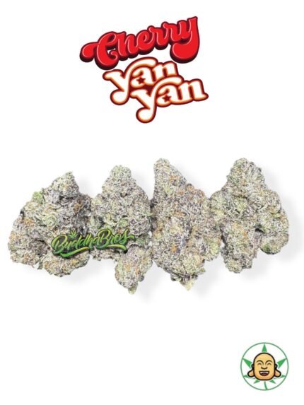 Cherry Yan Yan by BuddhaBrosLA