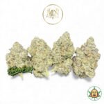 Chrome Dome By Maven