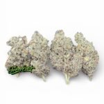 Face Off x Motorbreath