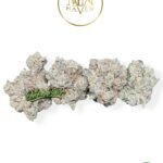 French Laundry By Maven Genetics