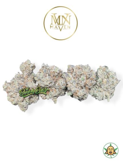 French Laundry By Maven Genetics