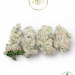 French Prizm By Maven Genetics