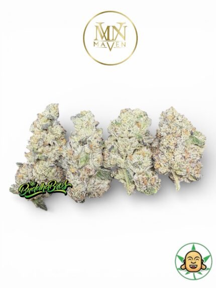 French Prizm By Maven Genetics