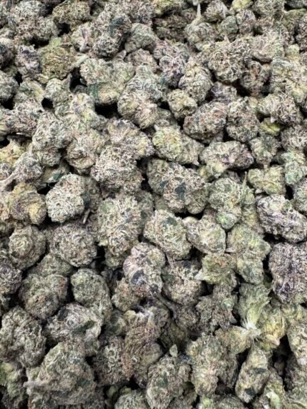 Frosted Donut Smalls