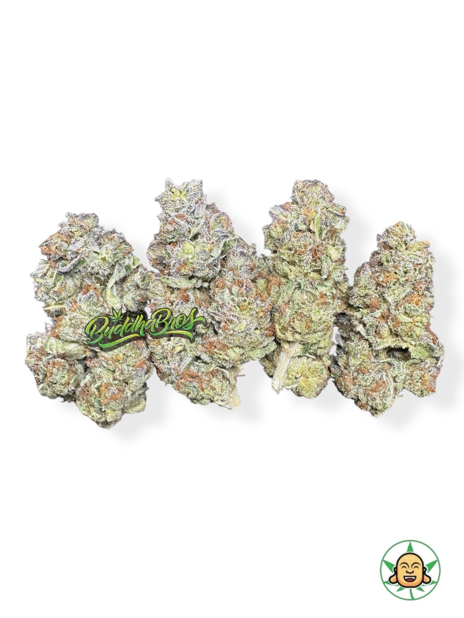 Galactic Gas Galactic Gas