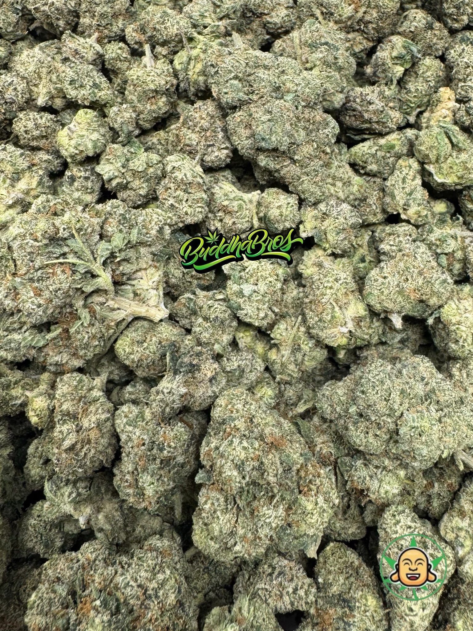 Galactic Runtz Mediums Galactic Runtz Mediums