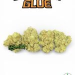 Gladiator Glue By BuddhaBrosLA (Overstock)