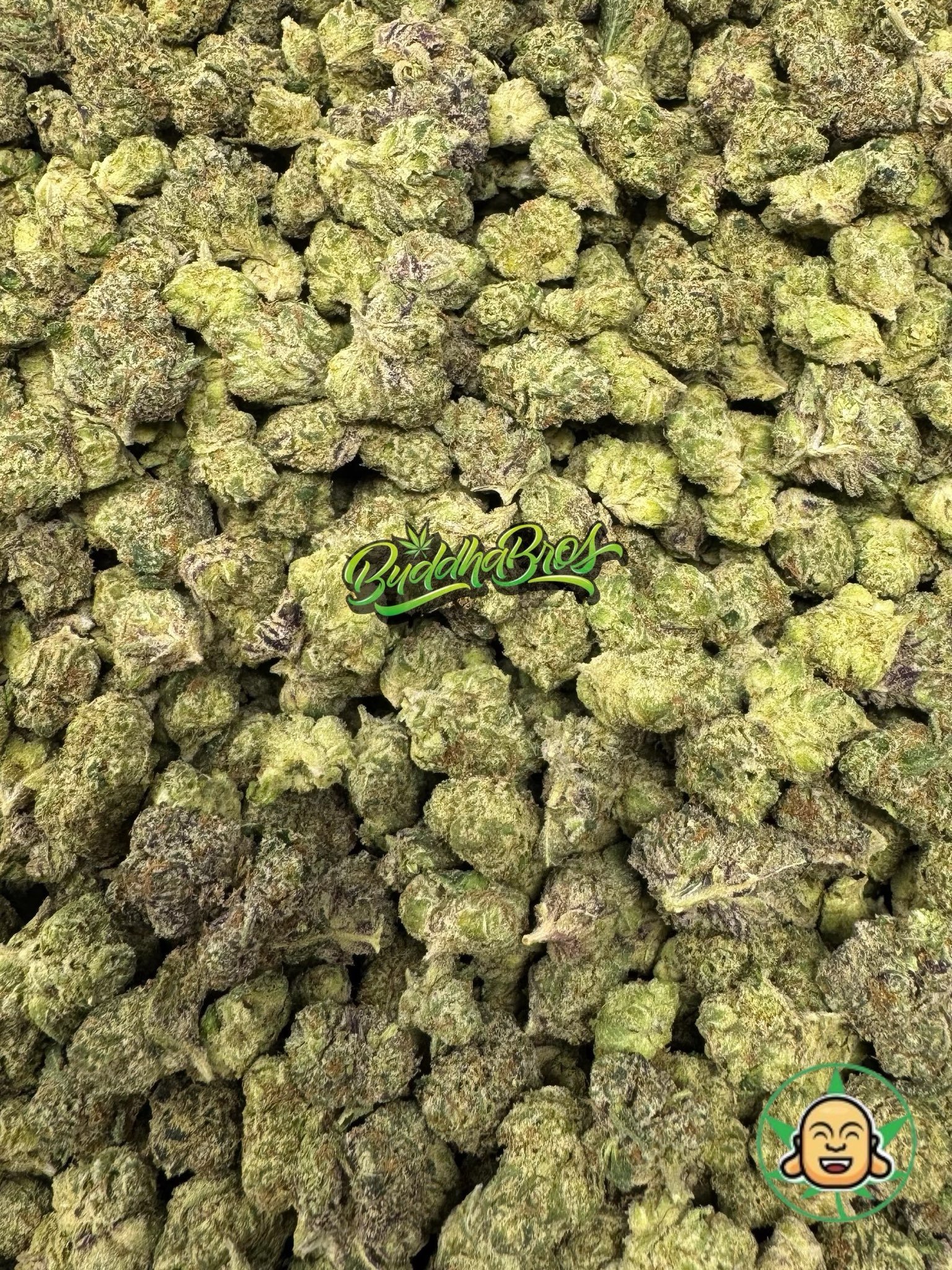 Grape Gelato Smalls Grape Gelato Smalls