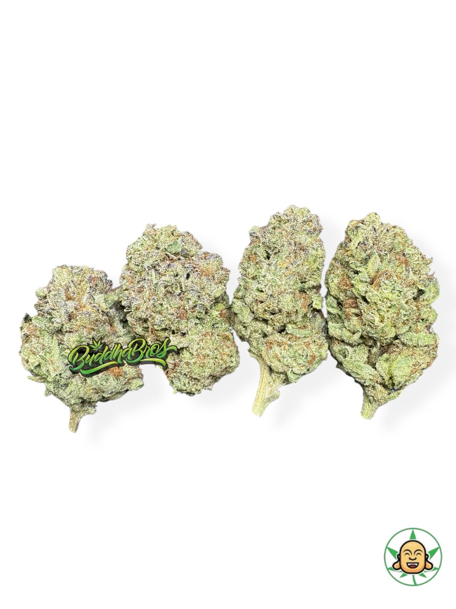 Ice Cream Cake Ice Cream Cake