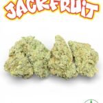 Jackfruit by BuddhaBrosLA