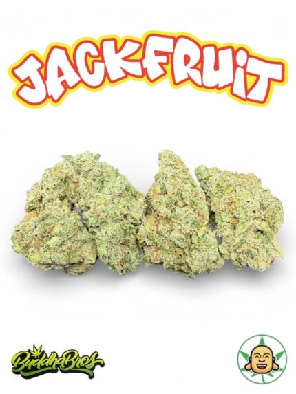 Jackfruit by BuddhaBrosLA