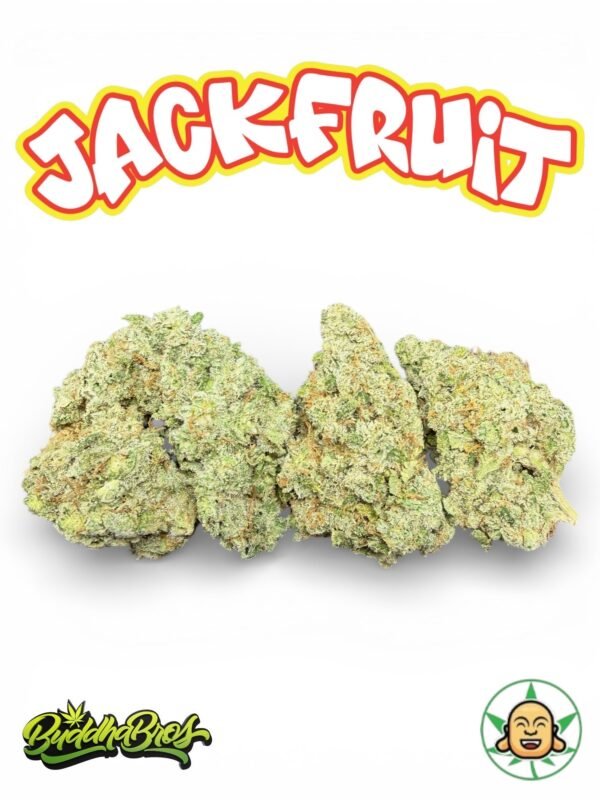 Jackfruit by BuddhaBrosLA