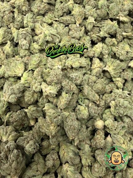 King Louis OG Smalls