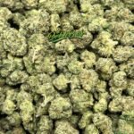 Lemon Cherry Gelato Smalls