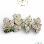 Madame Prizm By Maven Genetics