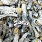 Mushrooms - Albino Penis Envy (Boomers)