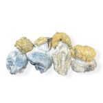 Mushrooms - Bluey Vuitton