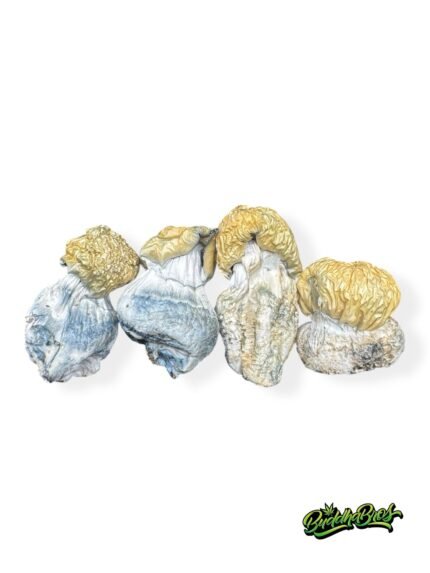 Mushrooms - Bluey Vuitton