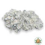 Mushrooms - Chocolate Krinkle Brain