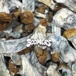 Mushrooms - Penis Envy (Boomers)