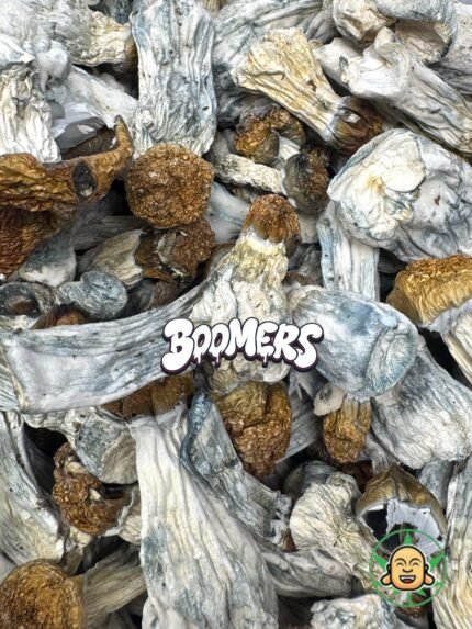 Mushrooms - Penis Envy (Boomers)