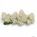 Pie Face X Permanent Marker