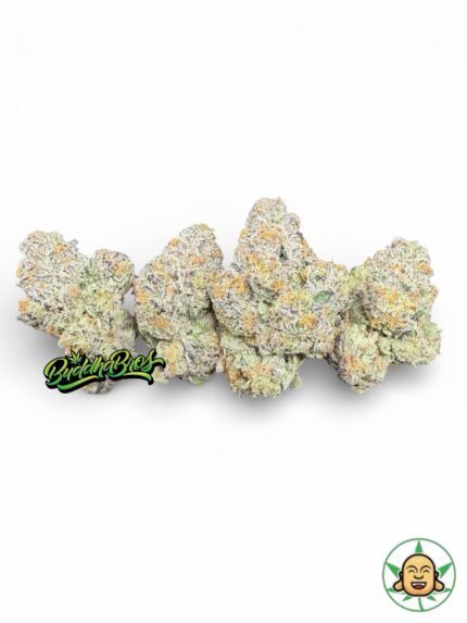 Pie Face X Permanent Marker