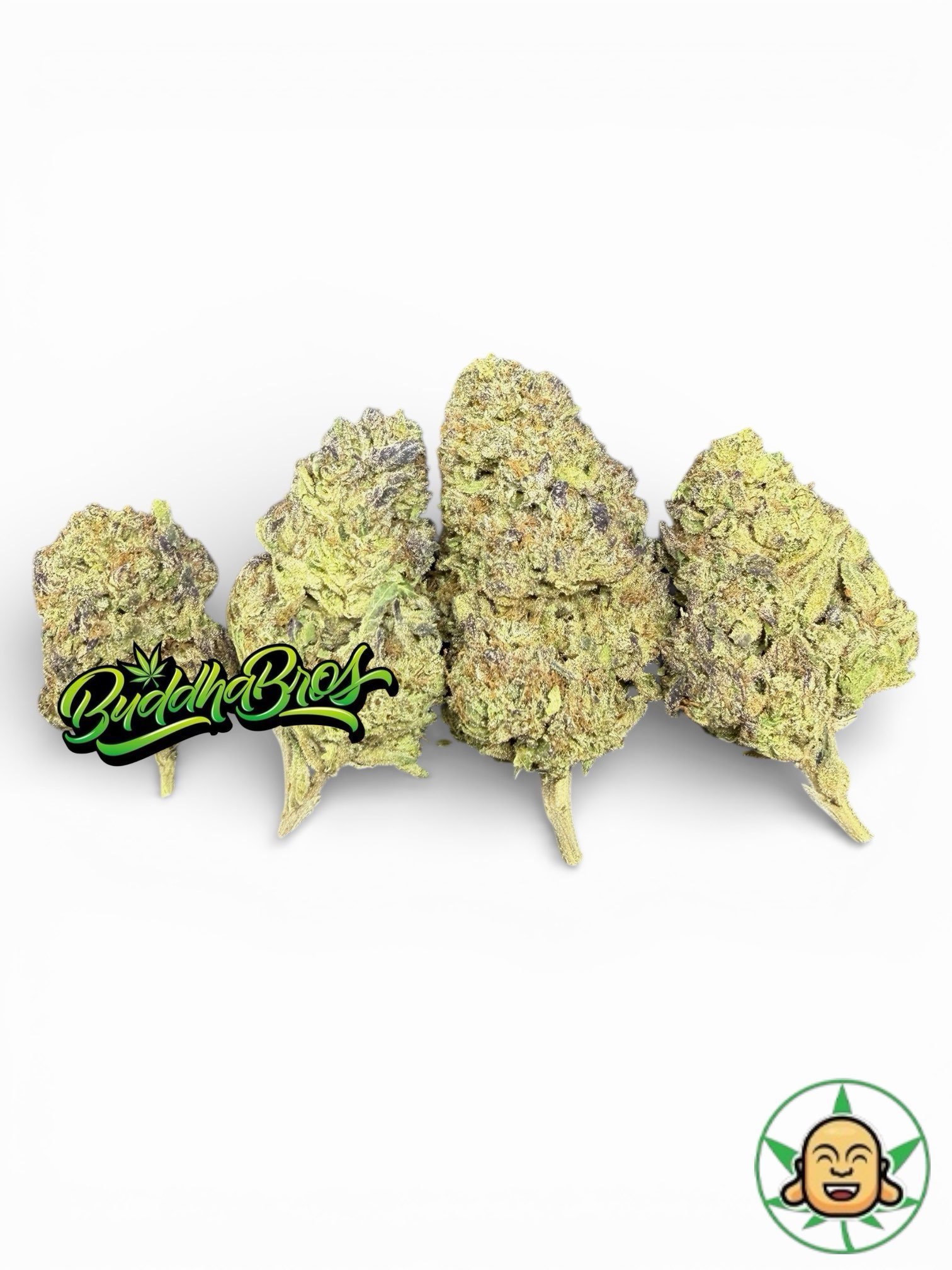 Pink Zugar Pink Zugar