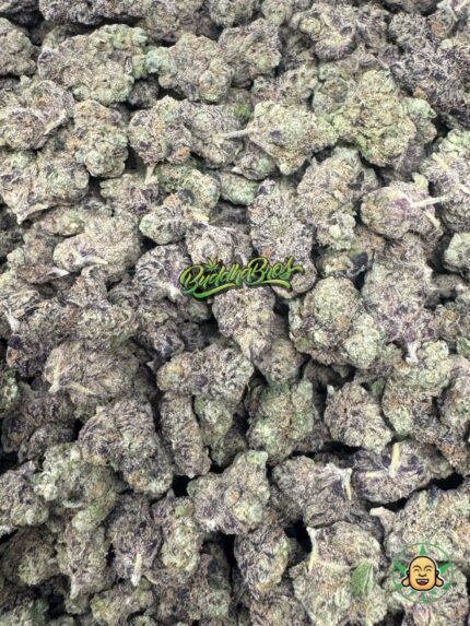 Purple Churro Mediums