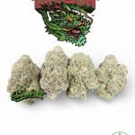 Runtz By Green Dragon