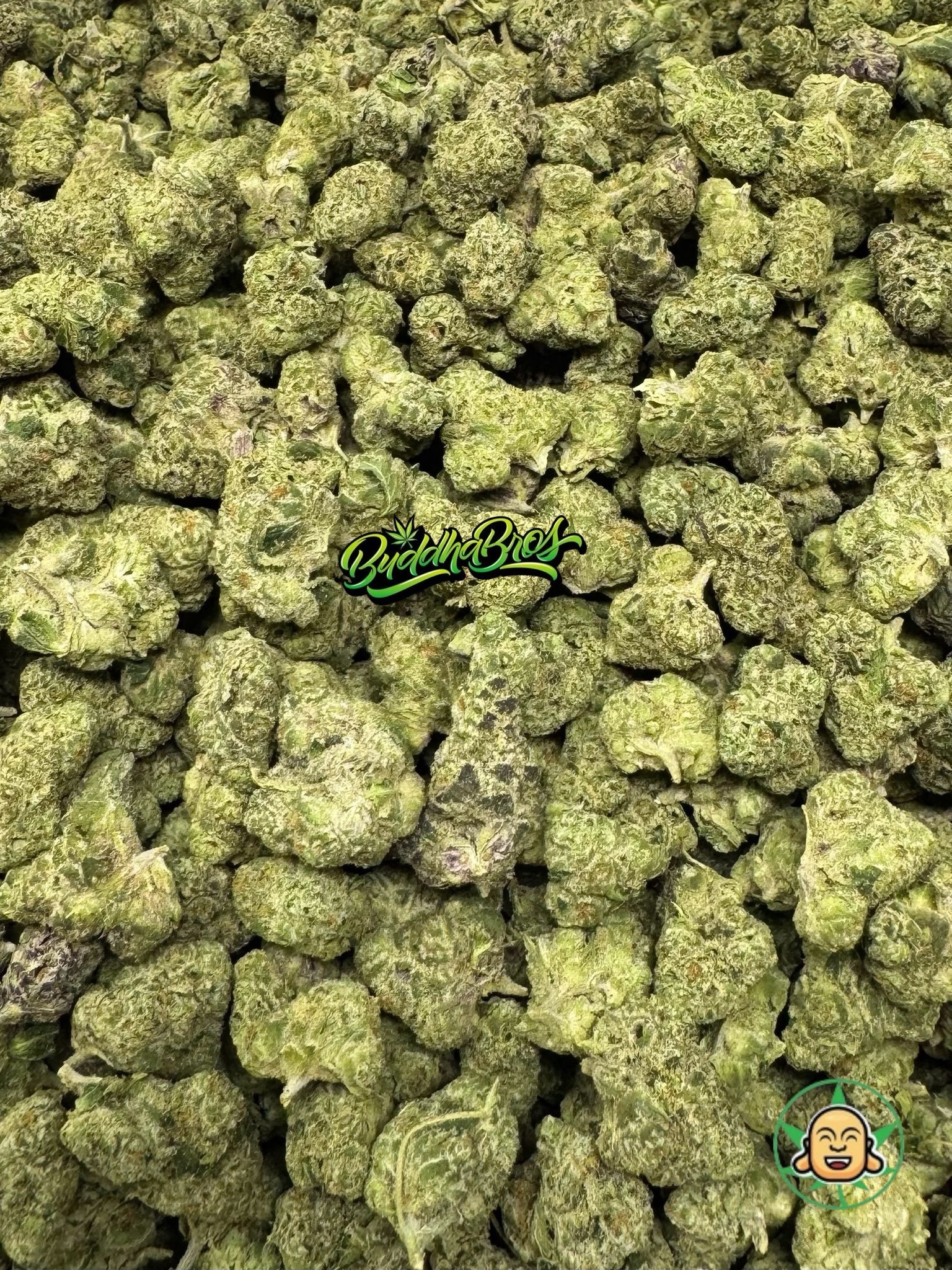 Runtz Smalls Runtz Smalls