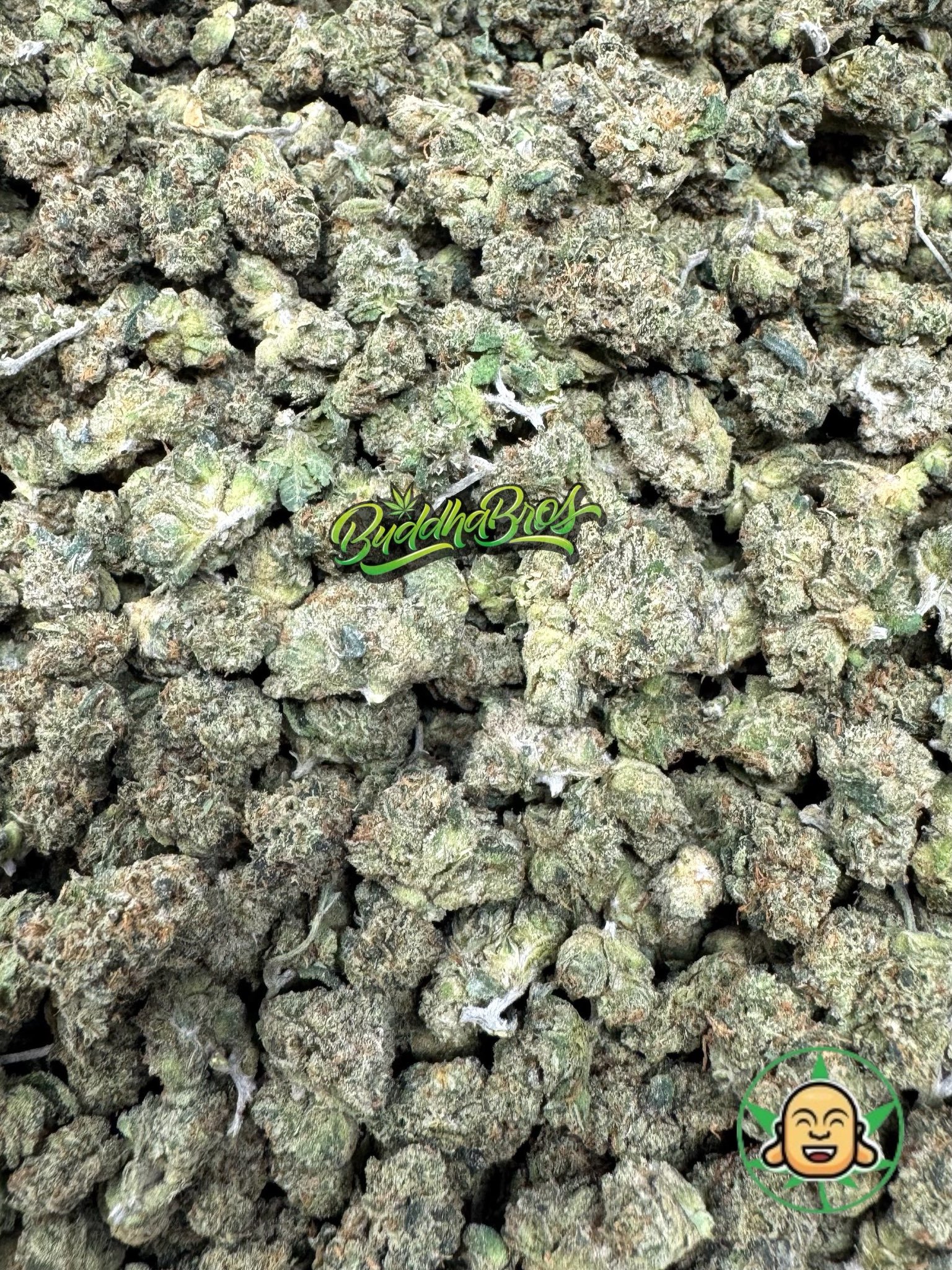 Skywalker OG Smalls Skywalker OG Smalls