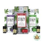 Stiiizy 1G Pod