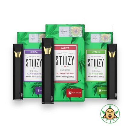 Stiiizy - All In One 1G Vape