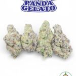 Strawberry Panda Gelato by BuddhaBrosLA