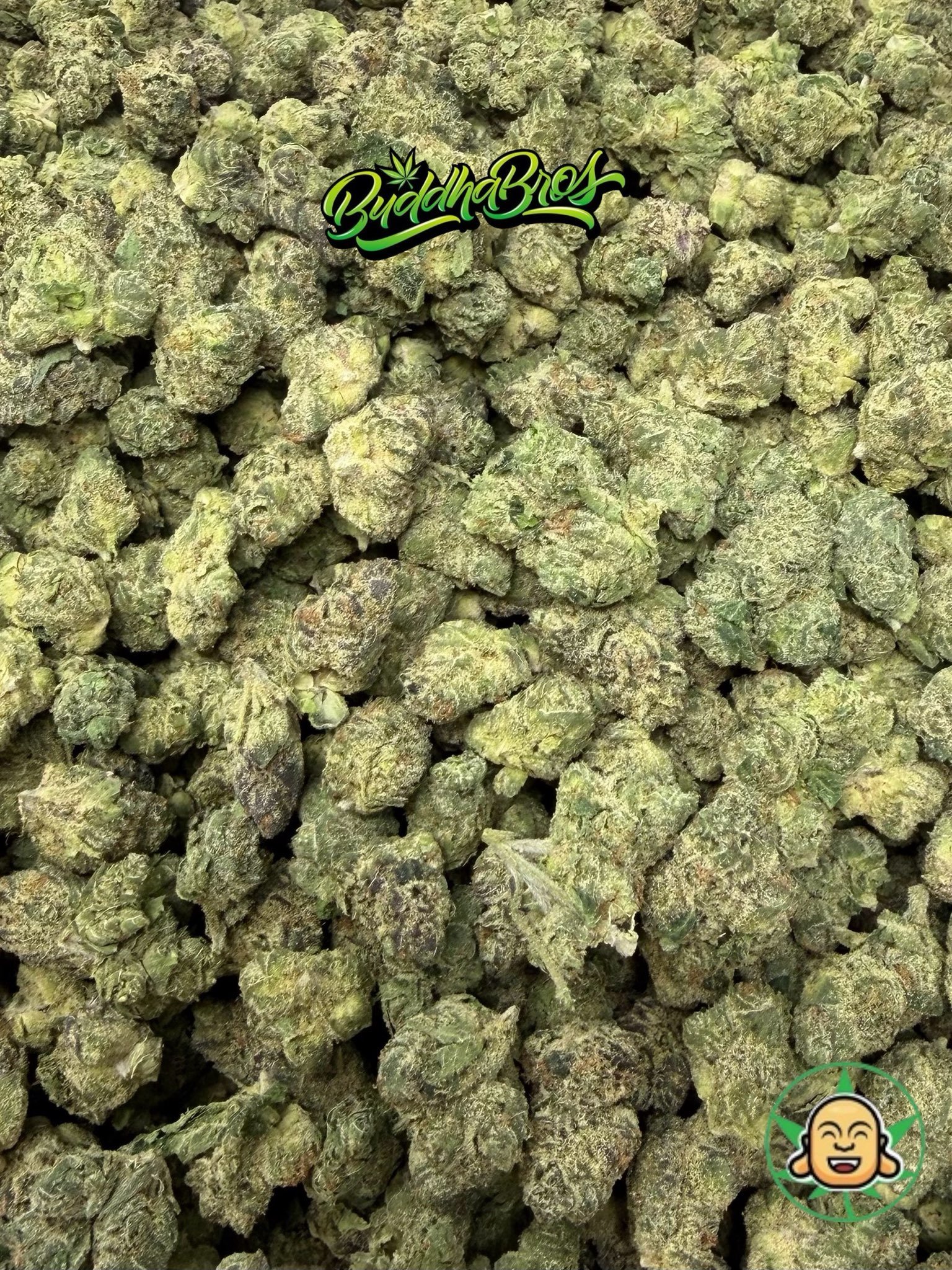 Sugar Drop Smalls Sugar Drop Smalls