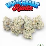 White Rabbit Runtz by BuddhaBrosLA