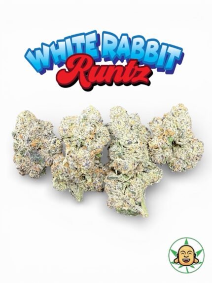 White Rabbit Runtz by BuddhaBrosLA