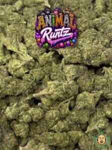 Animal Runtz
