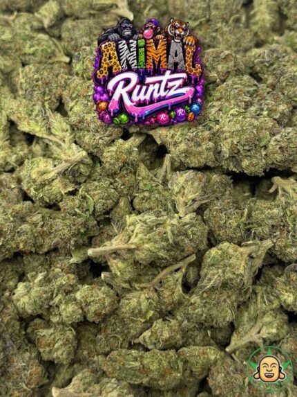 Animal Runtz