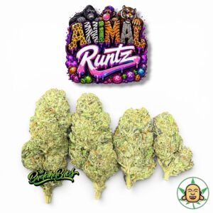 Animal Runtz