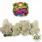 Bahama Berry