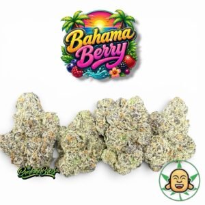 Bahama Berry