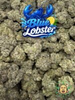 Blue Lobster
